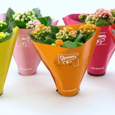 Flower Sleeves for flower packaging, flower bag, clear flower sleeves